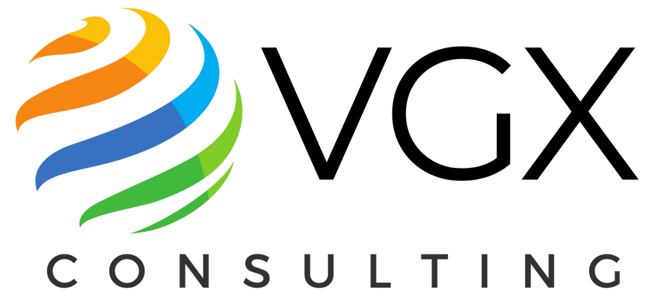 VGX Consulting